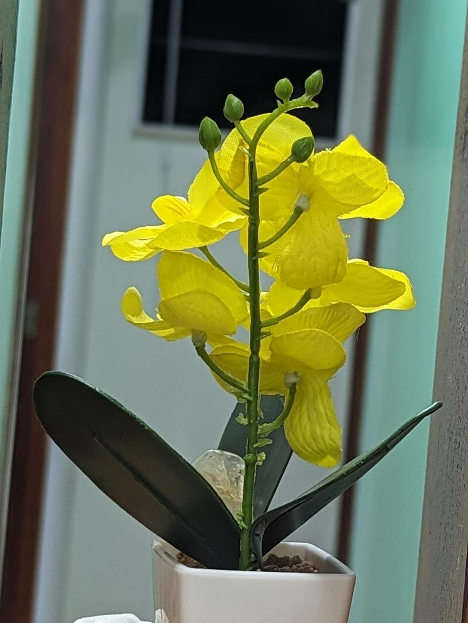 Bernardini House Villa Cabo Frio Dış mekan fotoğraf
