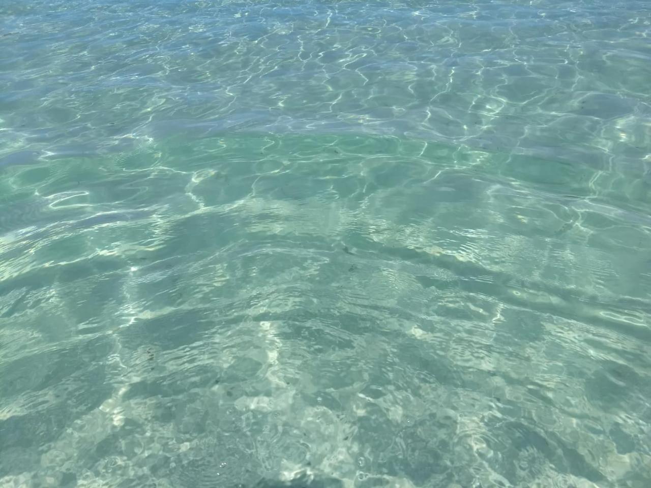Bernardini House Villa Cabo Frio Dış mekan fotoğraf